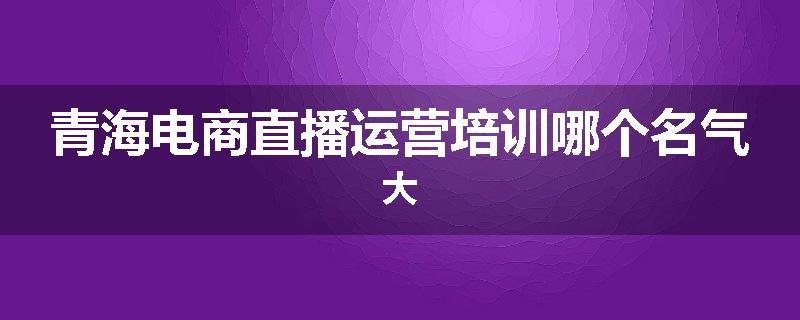 青海电商直播运营培训哪个名气大