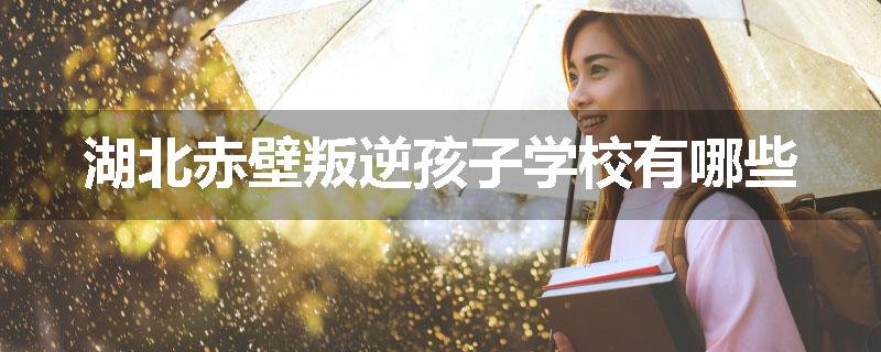 湖北赤壁叛逆孩子学校有哪些