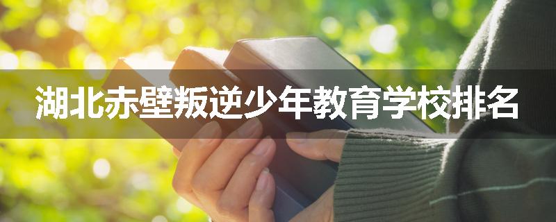 湖北赤壁叛逆少年教育学校排名