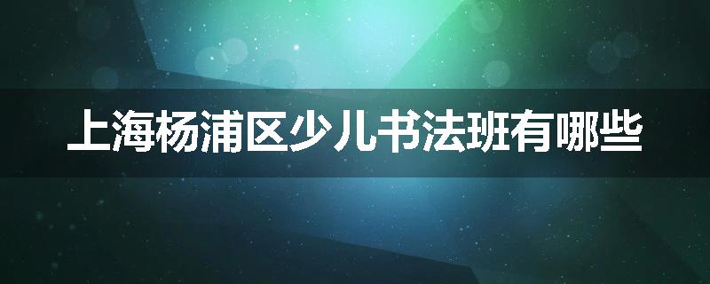 上海杨浦区少儿书法班有哪些