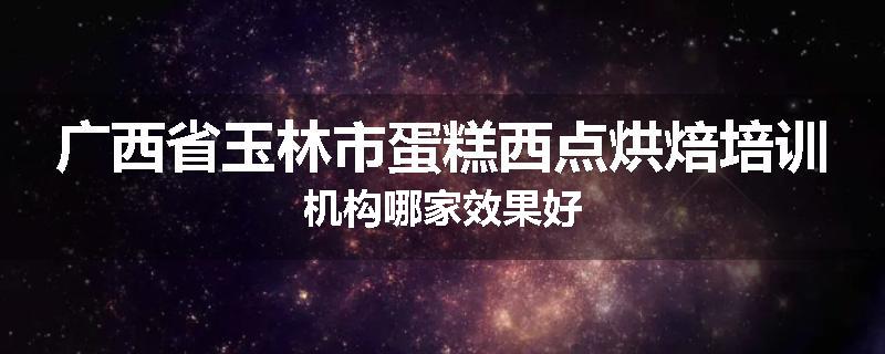 广西省玉林市蛋糕西点烘焙培训机构哪家效果好