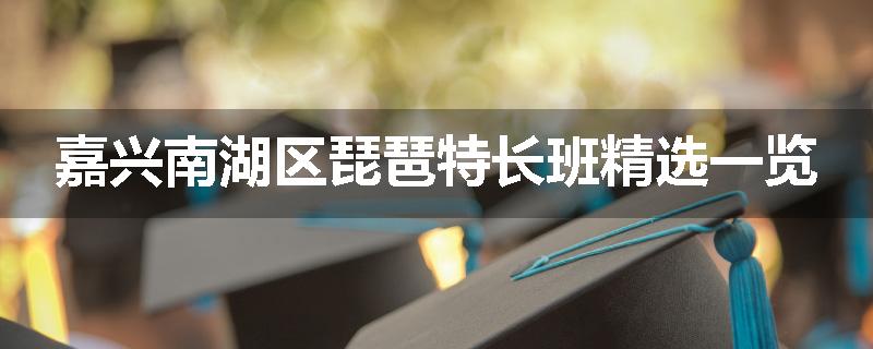 嘉兴南湖区琵琶特长班精选一览