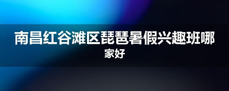 南昌红谷滩区琵琶暑假兴趣班哪家好