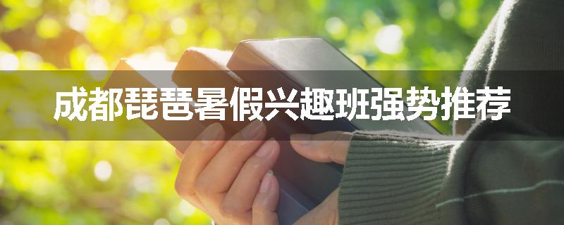成都琵琶暑假兴趣班强势推荐