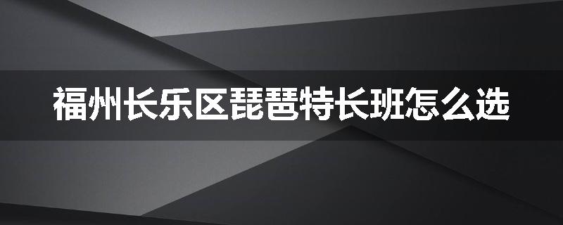 福州长乐区琵琶特长班怎么选