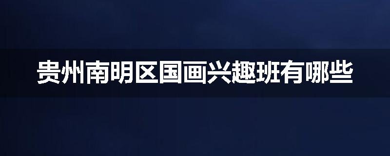 贵州南明区国画兴趣班有哪些