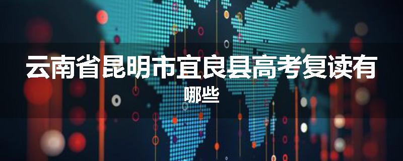 云南省昆明市宜良县高考复读有哪些