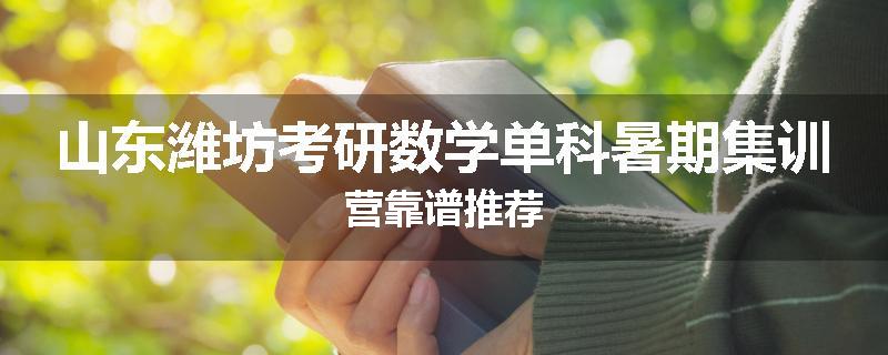 山东潍坊考研数学单科暑期集训营靠谱推荐