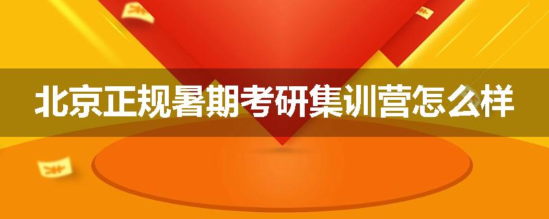 北京正规暑期考研集训营怎么样