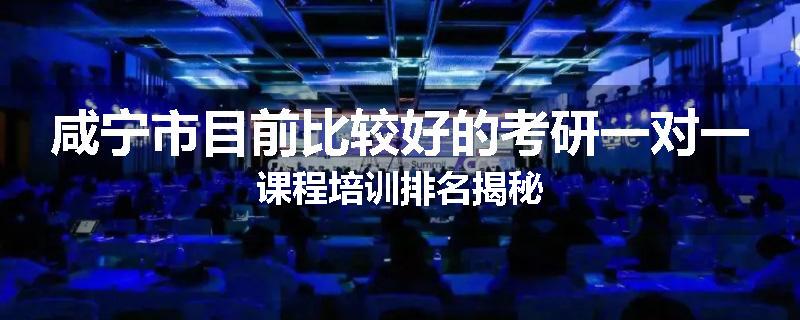 咸宁市目前比较好的考研一对一课程培训排名揭秘