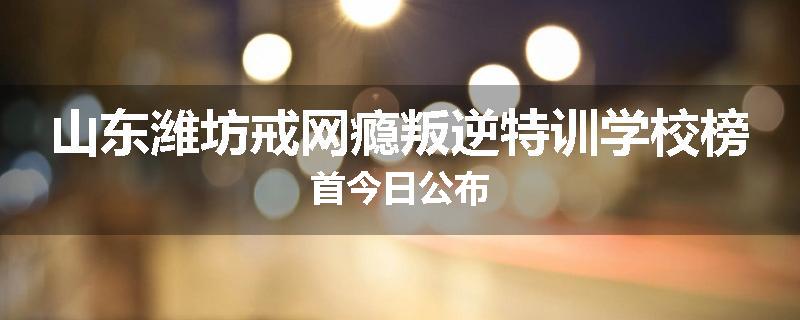 山东潍坊戒网瘾叛逆特训学校榜首今日公布