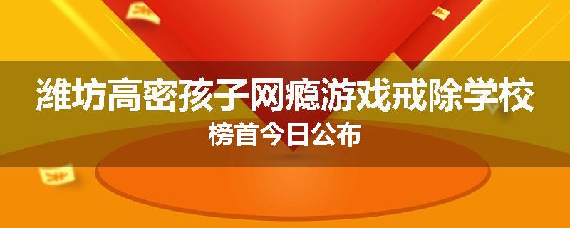 潍坊高密孩子网瘾游戏戒除学校榜首今日公布