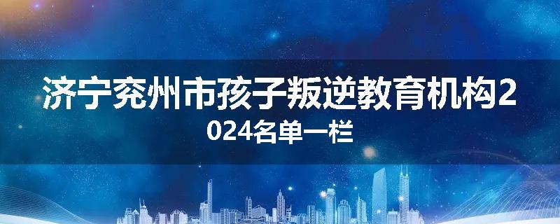 济宁兖州市孩子叛逆教育机构2024名单一栏
