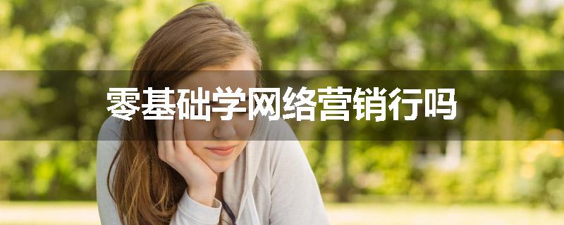 零基础学网络营销行吗