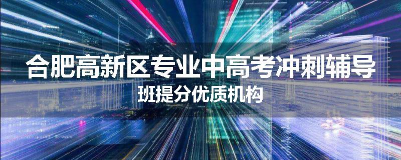 合肥高新区专业中高考冲刺辅导班提分优质机构