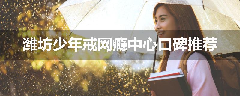 潍坊少年戒网瘾中心口碑推荐
