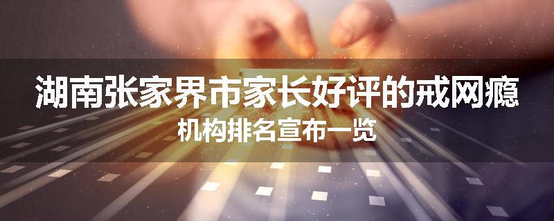 湖南张家界市家长好评的戒网瘾机构排名宣布一览