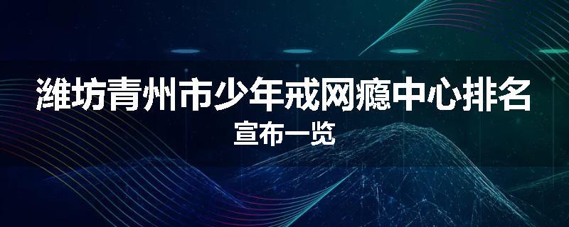 潍坊青州市少年戒网瘾中心排名宣布一览