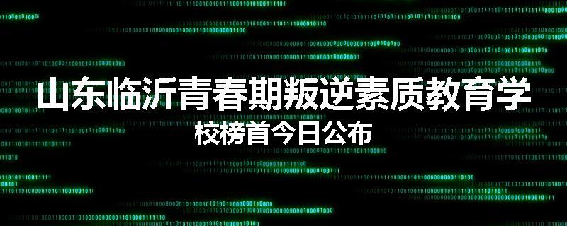 山东临沂青春期叛逆素质教育学校榜首今日公布