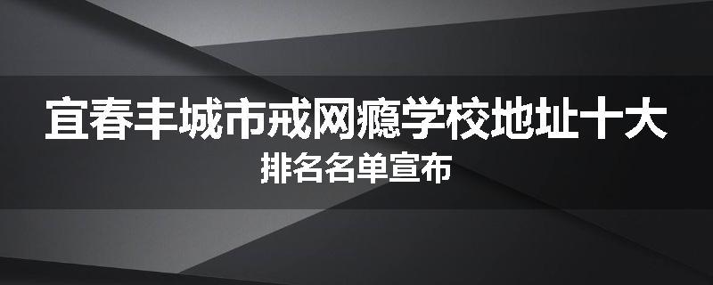 宜春丰城市戒网瘾学校地址十大排名名单宣布