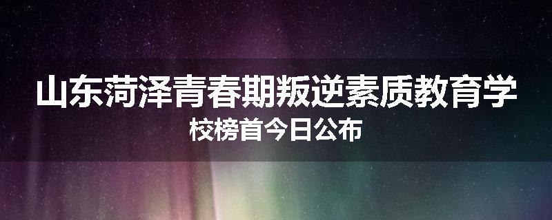 山东菏泽青春期叛逆素质教育学校榜首今日公布