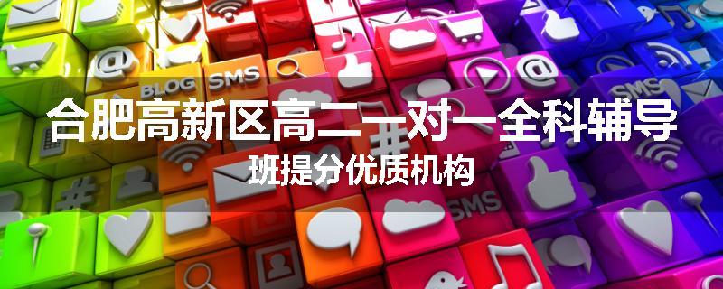 合肥高新区高二一对一全科辅导班提分优质机构