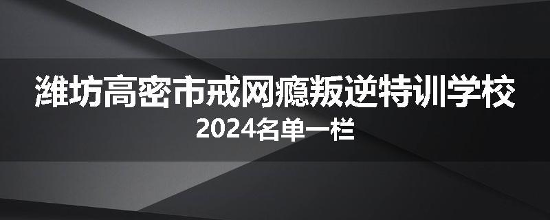 潍坊高密市戒网瘾叛逆特训学校2024名单一栏