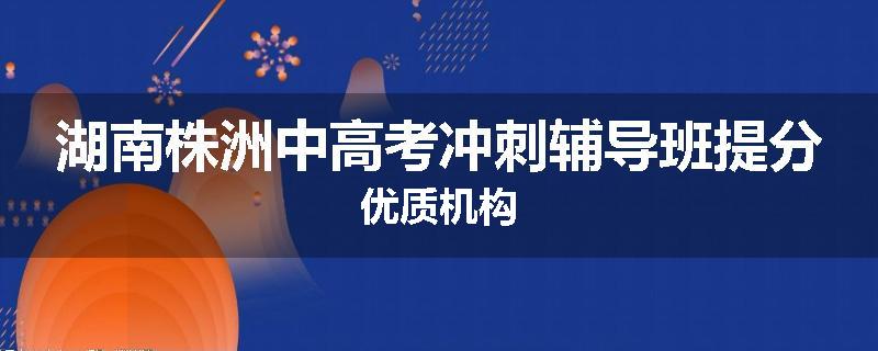 湖南株洲中高考冲刺辅导班提分优质机构