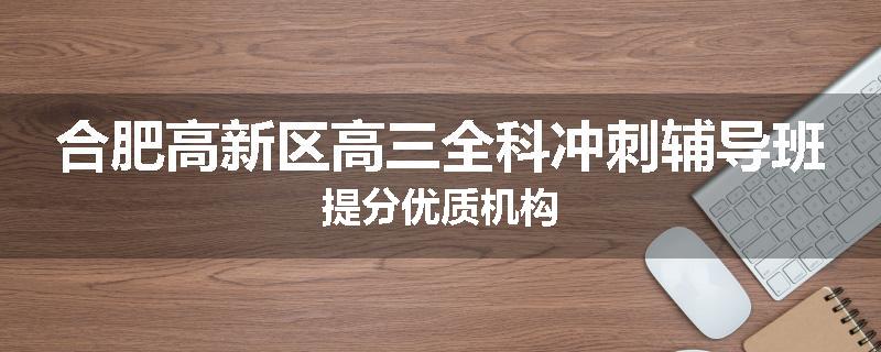 合肥高新区高三全科冲刺辅导班提分优质机构