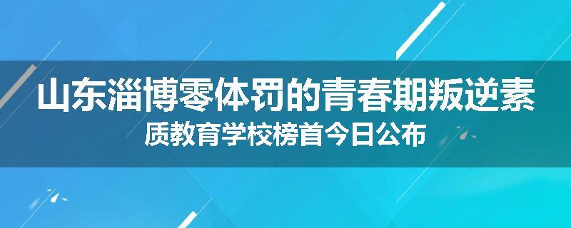 山东淄博零体罚的青春期叛逆素质教育学校榜首今日公布