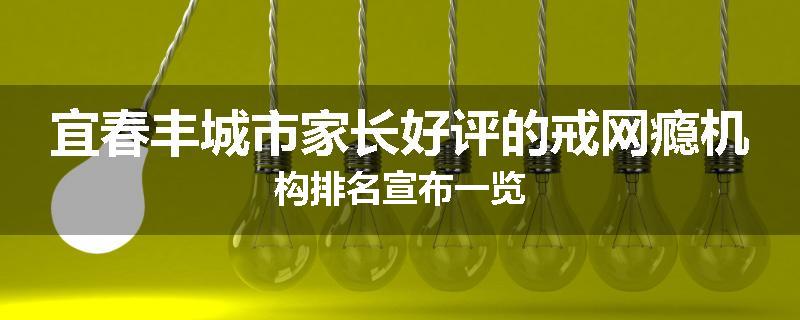 宜春丰城市家长好评的戒网瘾机构排名宣布一览