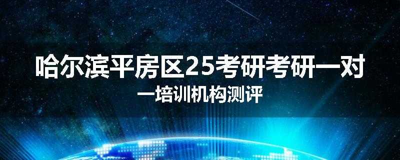哈尔滨平房区25考研考研一对一培训机构测评