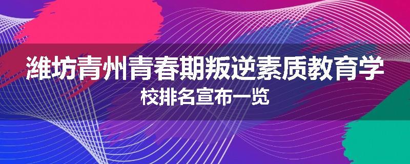 潍坊青州青春期叛逆素质教育学校排名宣布一览