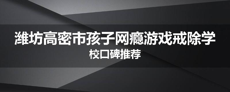 潍坊高密市孩子网瘾游戏戒除学校口碑推荐