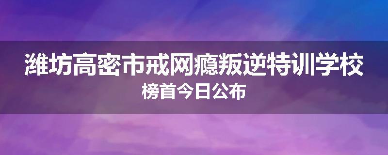 潍坊高密市戒网瘾叛逆特训学校榜首今日公布