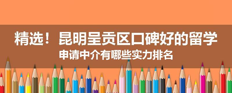 精选！昆明呈贡区口碑好的留学申请中介有哪些实力排名
