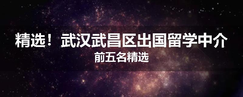 精选！武汉武昌区出国留学中介前五名精选