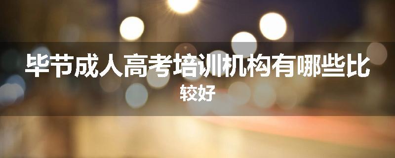 毕节成人高考培训机构有哪些比较好