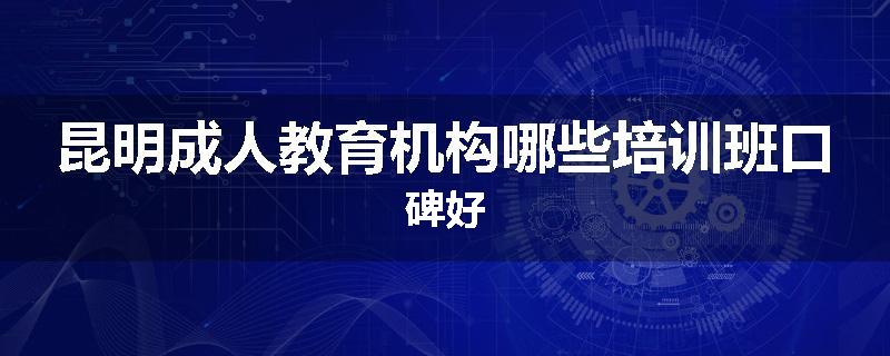 昆明成人教育机构哪些培训班口碑好