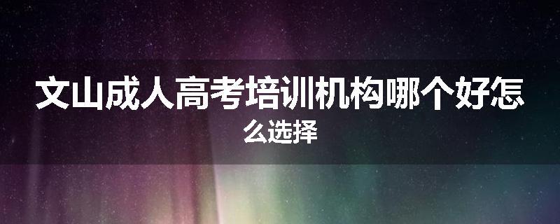 文山成人高考培训机构哪个好怎么选择