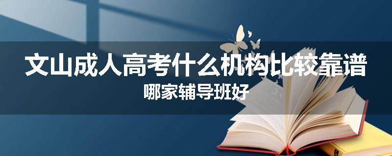 文山成人高考什么机构比较靠谱哪家辅导班好