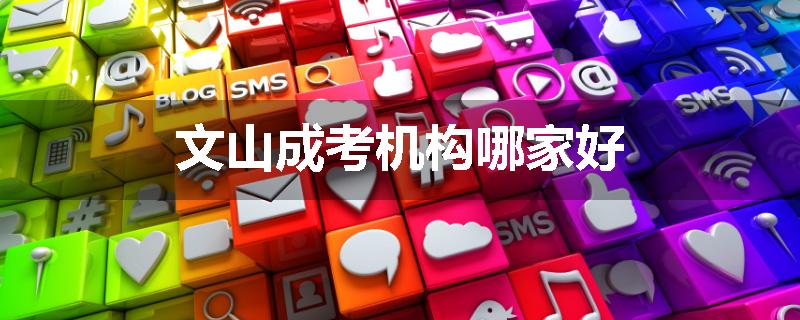文山成考机构哪家好