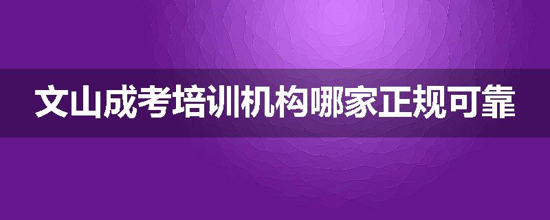 文山成考培训机构哪家正规可靠
