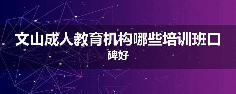 文山成人教育机构哪些培训班口碑好