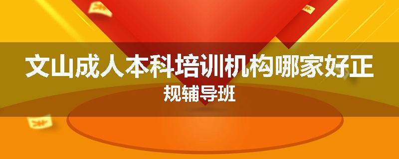 文山成人本科培训机构哪家好正规辅导班