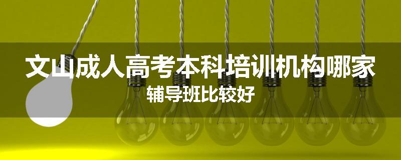 文山成人高考本科培训机构哪家辅导班比较好