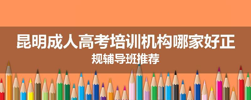 昆明成人高考培训机构哪家好正规辅导班推荐