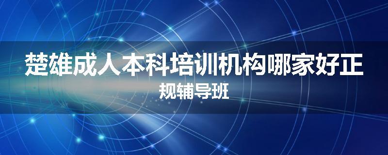 楚雄成人本科培训机构哪家好正规辅导班