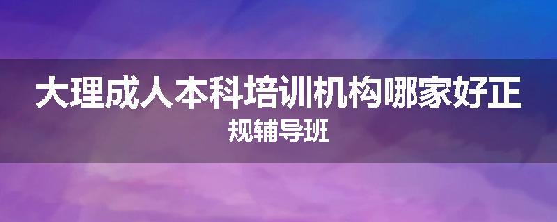 大理成人本科培训机构哪家好正规辅导班