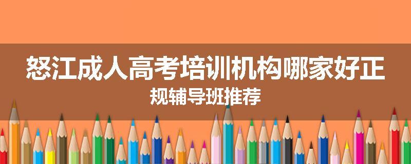 怒江成人高考培训机构哪家好正规辅导班推荐